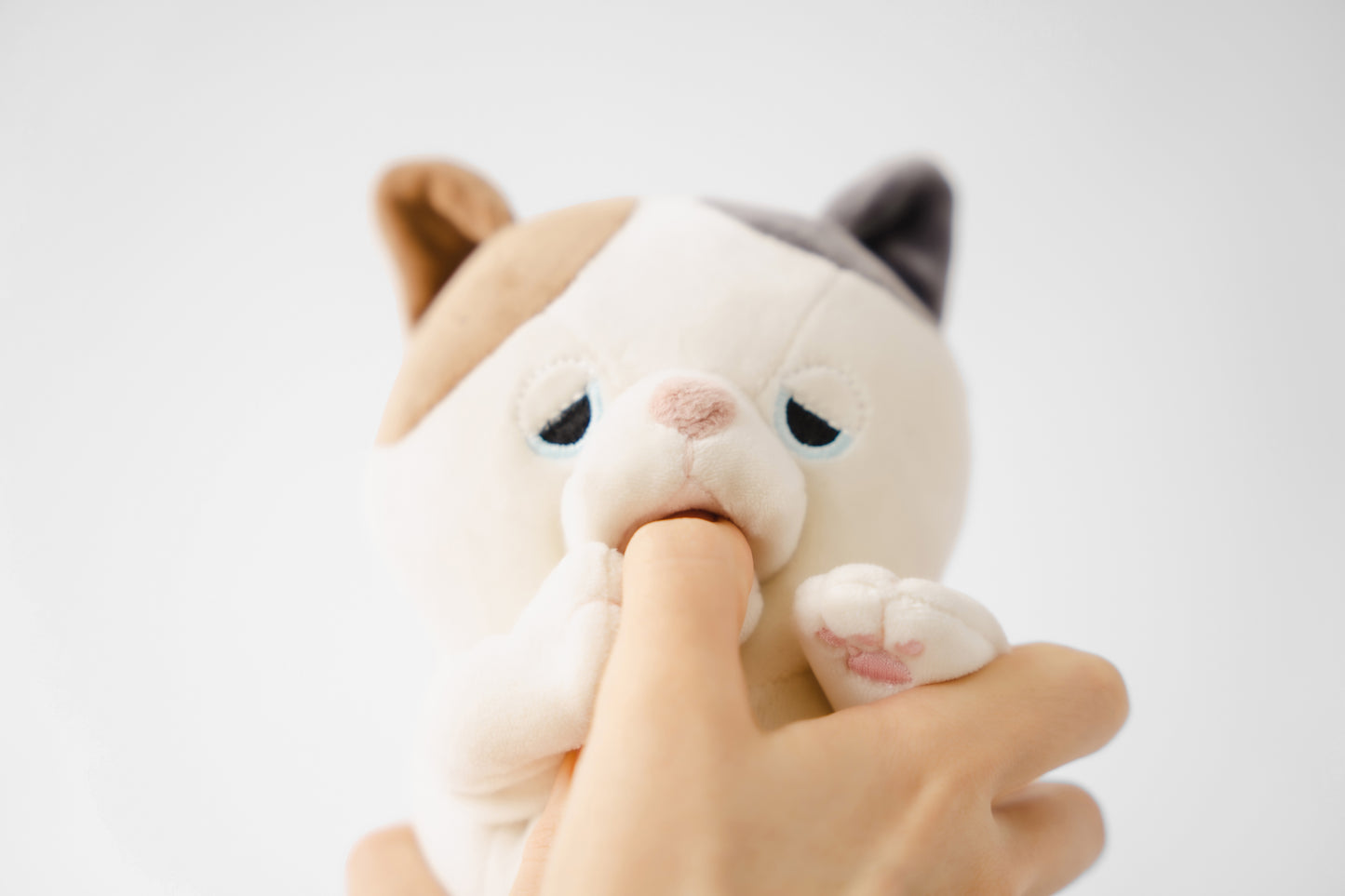 AMAGAMI HAM HAM
