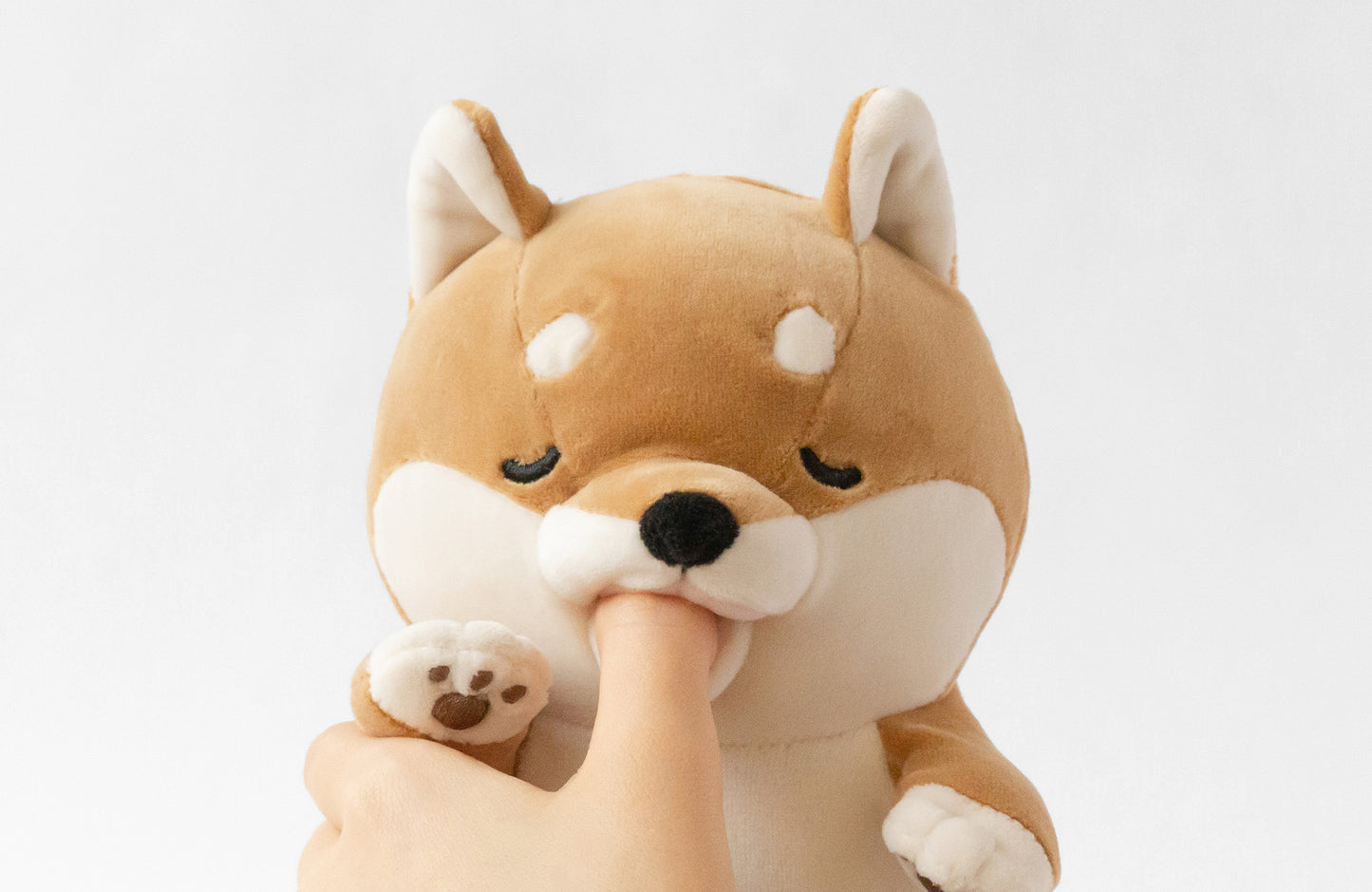 AMAGAMI HAM HAM